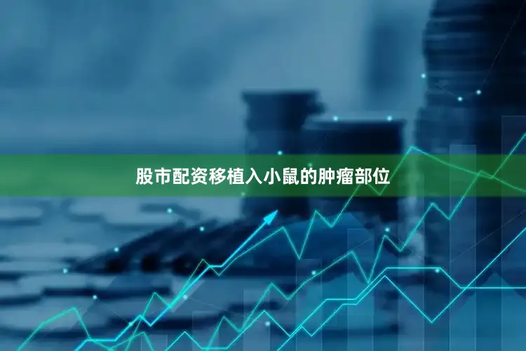 股市配资移植入小鼠的肿瘤部位