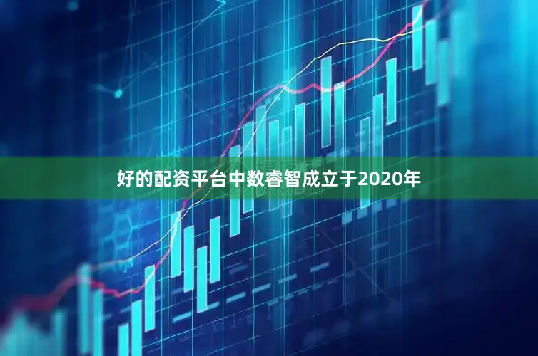 好的配资平台中数睿智成立于2020年